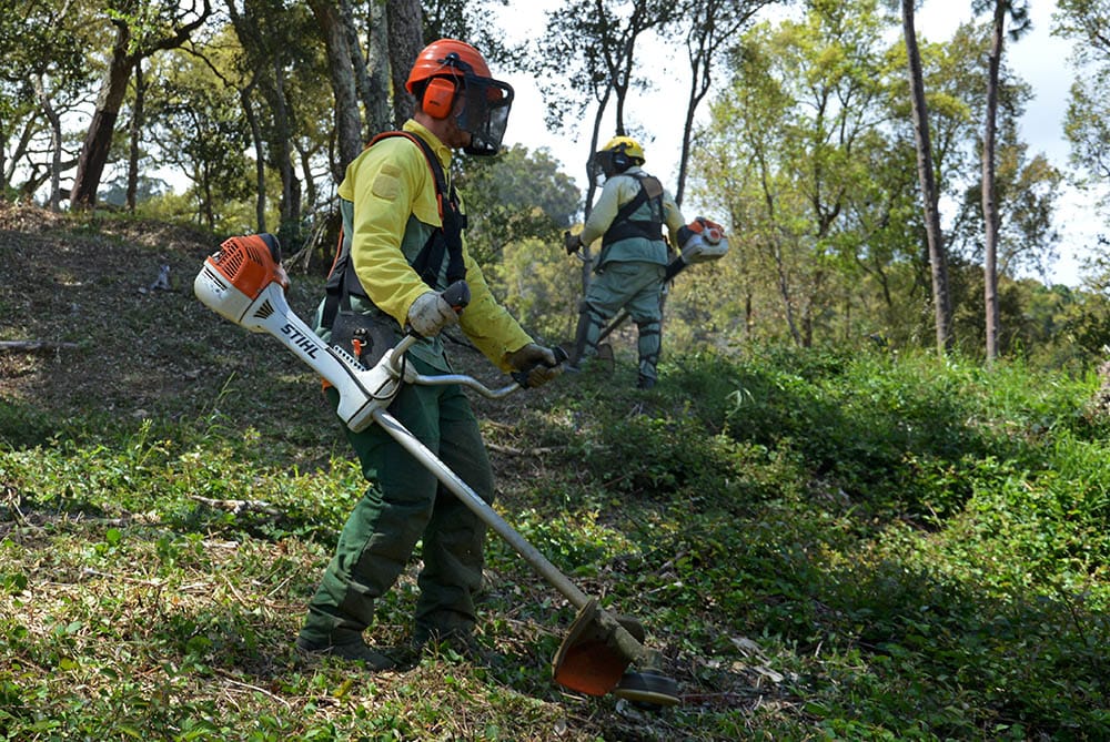 Trabalhos na Faixa de Gestão de Combustíveis de Rede Secundária entre Vale do Grou e Brejo Fundeiro Trabalhos na Faixa de Gestão de Combustíveis de Rede Secundária entre Vale do Grou e Brejo Fundeiro