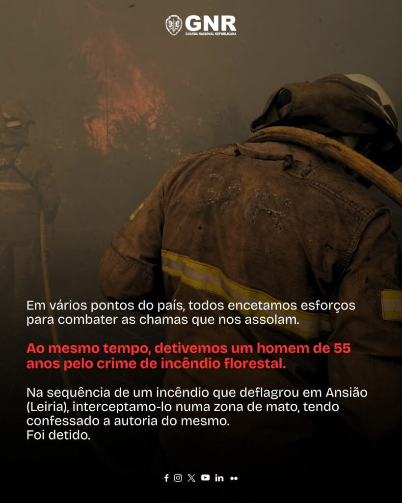 Homem detido em Ansião por suspeita de incêndio florestal