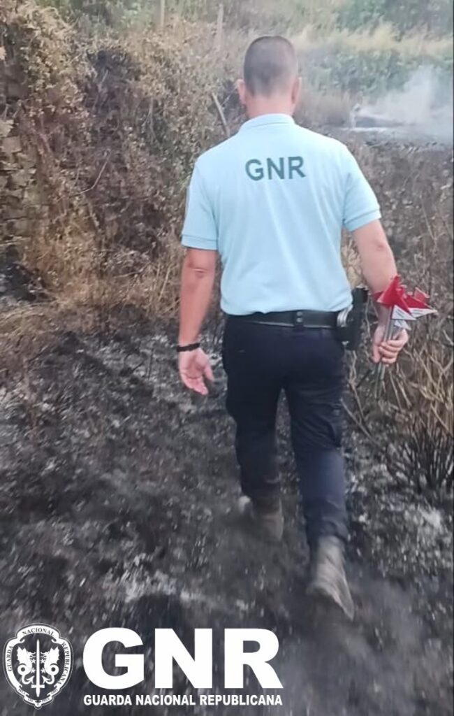 Homem de 69 anos identificado devido a incêndio florestal em Figueiró dos Vinhos