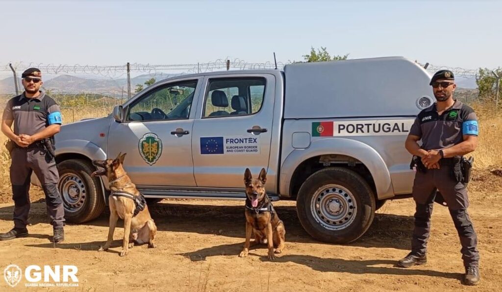 GNR homenageia os seus "militares de quatro patas" neste Dia Mundial do Cão GNR homenageia os seus "militares de quatro patas" neste Dia Mundial do Cão