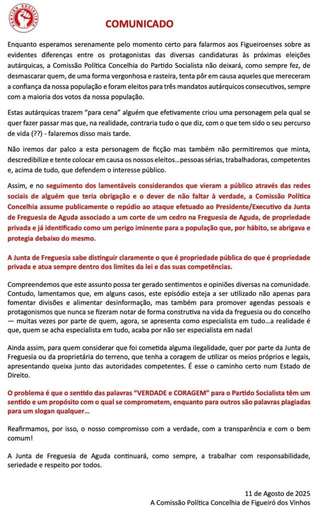 Abate de árvore causa polémica em Aguda, Figueiró dos Vinhos Abate de árvore causa polémica em Aguda, Figueiró dos Vinhos