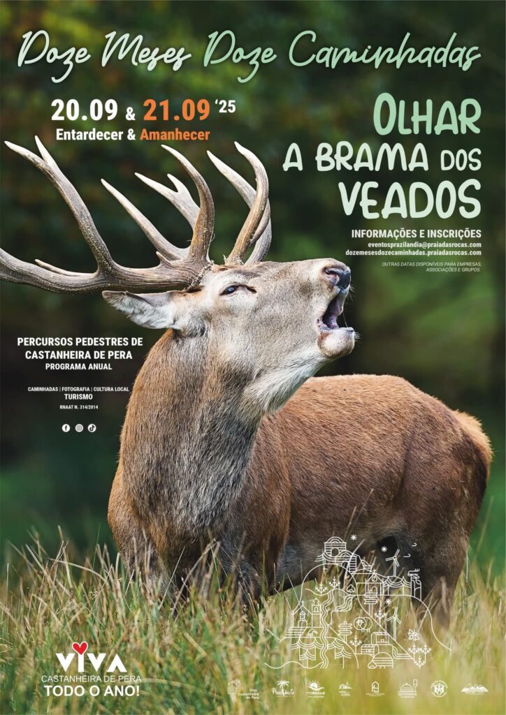 Doze Meses Doze Caminhadas: Castanheira de Pera convida a Olhar a Brama dos Veados Doze Meses Doze Caminhadas: Castanheira de Pera convida a Olhar a Brama dos Veados