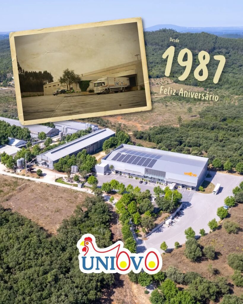 Uniovo celebra 39 anos de história, crescimento e liderança no setor avícola Uniovo celebra 39 anos de história, crescimento e liderança no setor avícola
