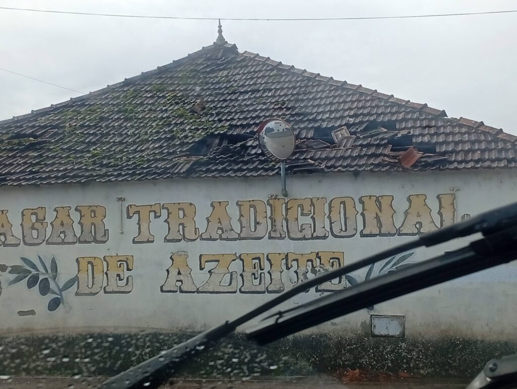 Depressão Kristin deixa rasto de destruição em Figueiró dos Vinhos, mas população está segura