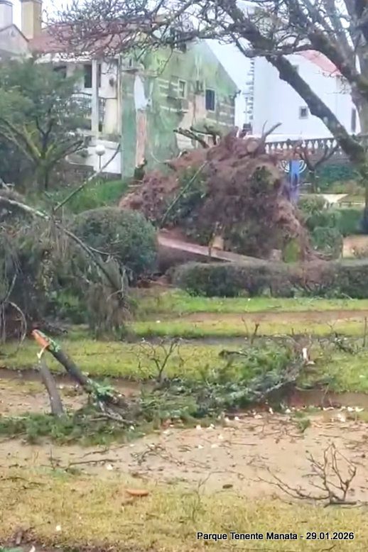 Depressão Kristin deixa rasto de destruição em Figueiró dos Vinhos, mas população está segura