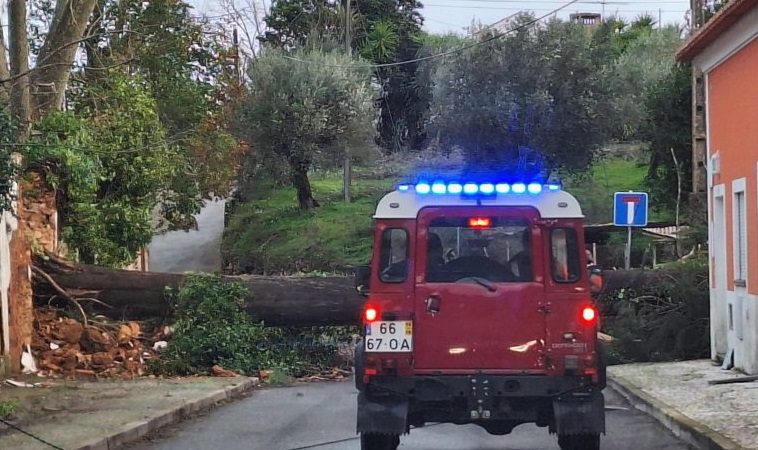 Depressão Kristin provoca estragos graves em Santarém e Médio Tejo Depressão Kristin provoca estragos graves em Santarém e Médio Tejo