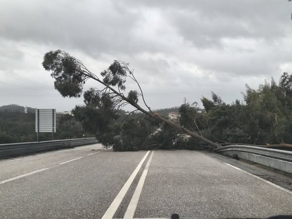 Tempestade Kristin deixa rasto de destruição em Vila de Rei Tempestade Kristin deixa rasto de destruição em Vila de Rei