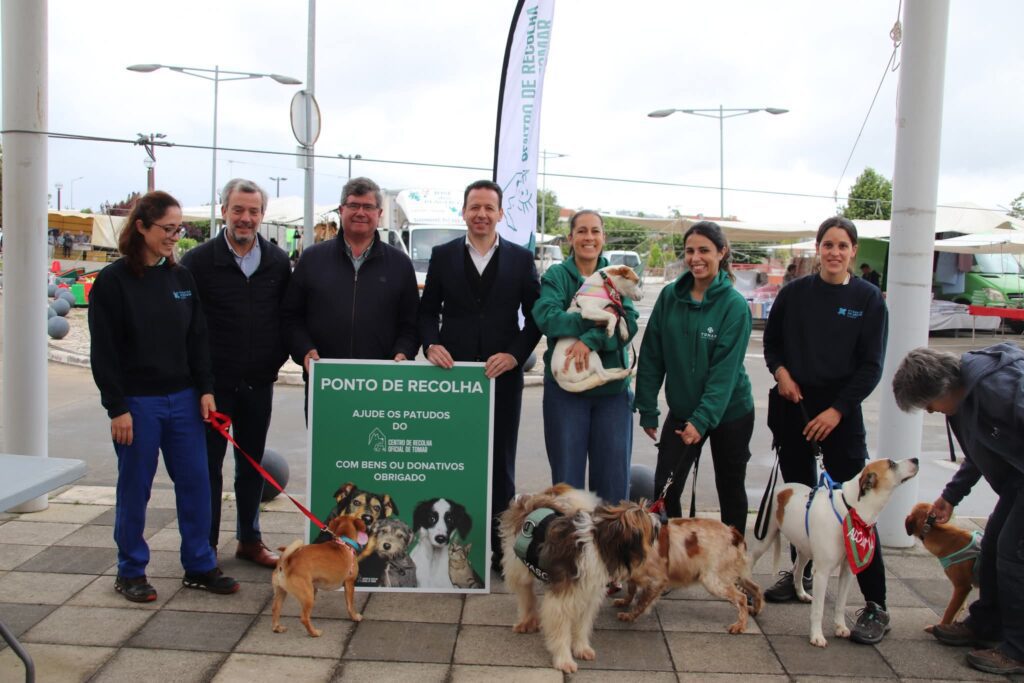 Ação de adoção animal sensibilizou população em Ferreira do Zêzere