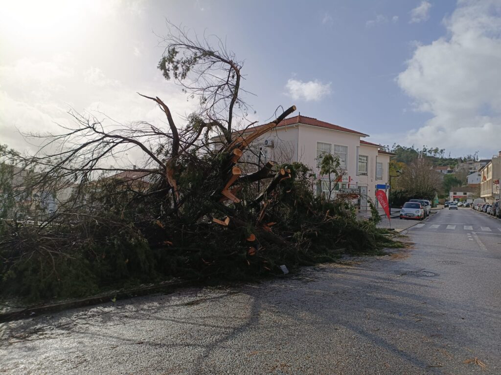 Município de Vila de Rei alerta para registo obrigatório no ICNF para acesso a apoios após Tempestade Kristin Município de Vila de Rei alerta para registo obrigatório no ICNF para acesso a apoios após Tempestade Kristin