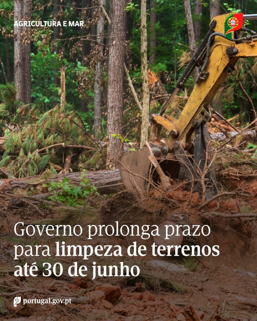 Prazo para limpeza de terrenos prolongado até 30 de junho