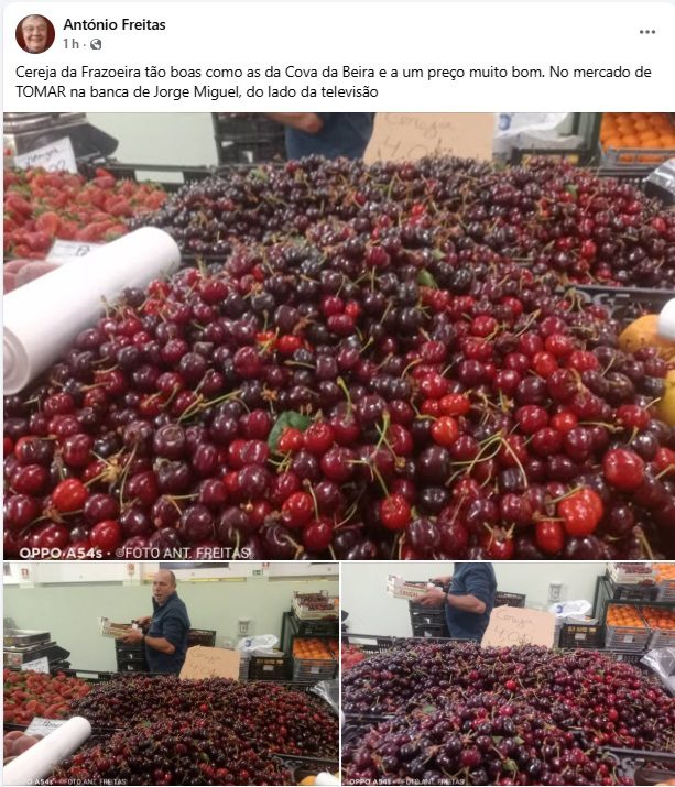 Cereja de Ferreira do Zêzere: qualidade e tradição em destaque