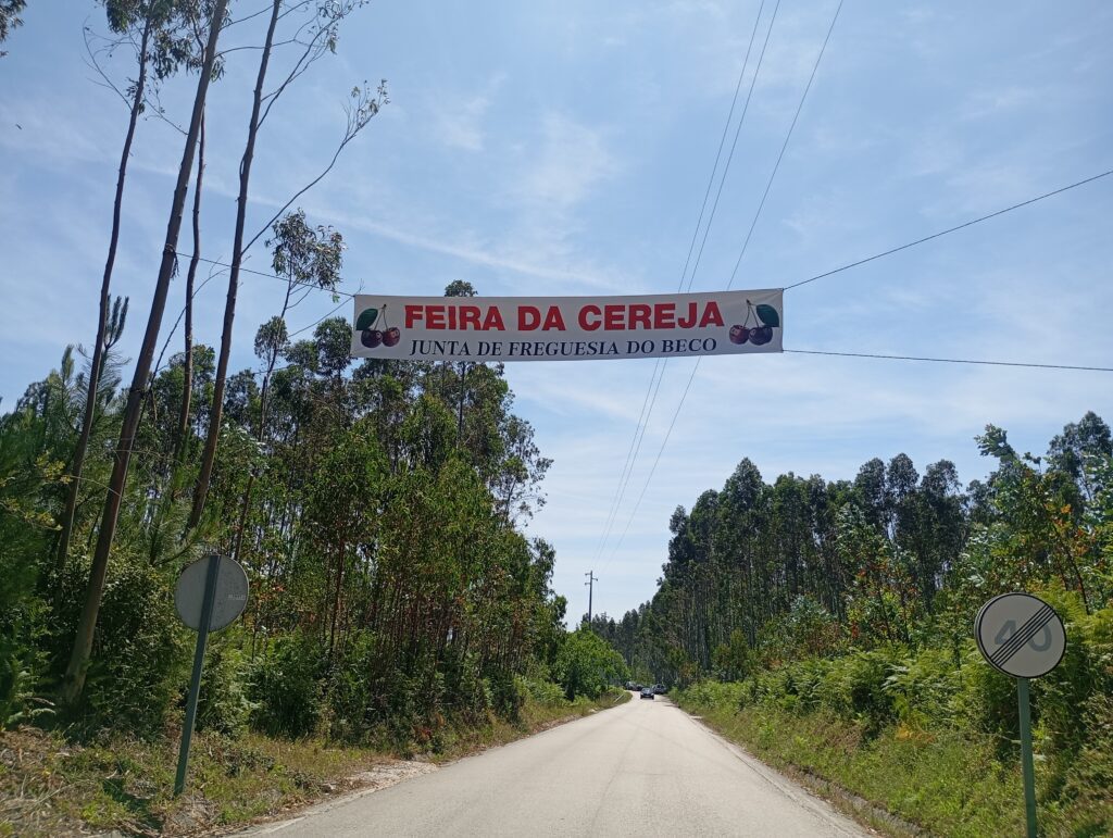 Feira da Cereja supera expectativas e confirma sucesso do novo recinto em Cruz dos Canastreiros Feira da Cereja supera expectativas e confirma sucesso do novo recinto em Cruz dos Canastreiros
