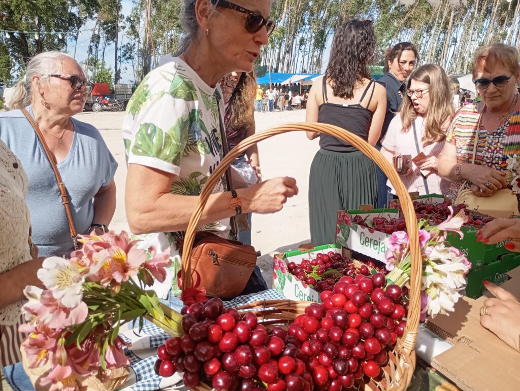 Feira da Cereja supera expectativas e confirma sucesso do novo recinto em Cruz dos Canastreiros Feira da Cereja supera expectativas e confirma sucesso do novo recinto em Cruz dos Canastreiros