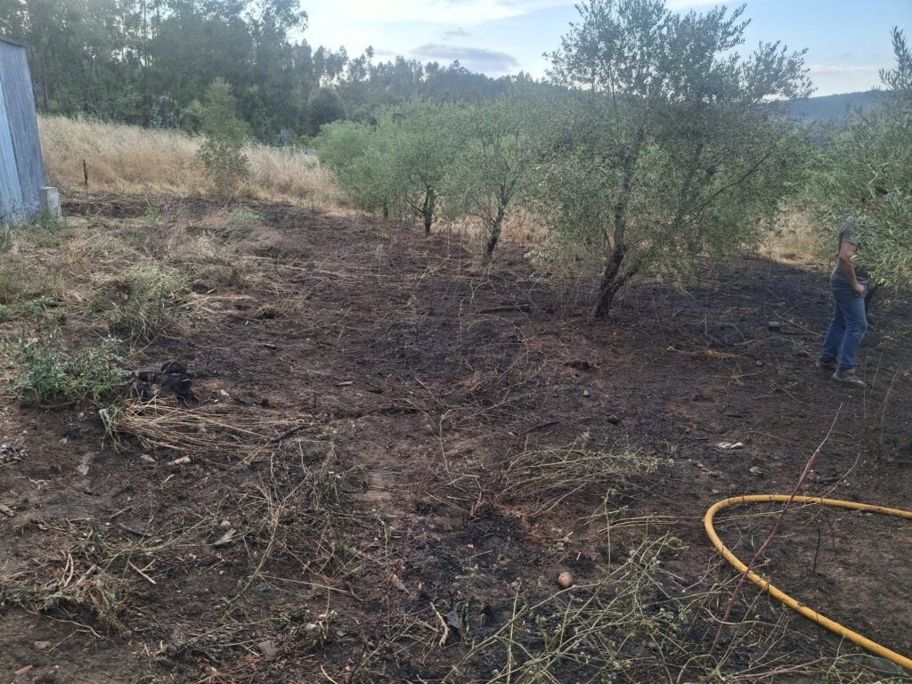 Foco de Incêndio em olival mobilizou esta tarde bombeiros de Ferreira do Zêzere e Alvaiázere na freguesia do Bêco Foco de Incêndio em olival mobilizou esta tarde bombeiros de Ferreira do Zêzere e Alvaiázere na freguesia do Bêco