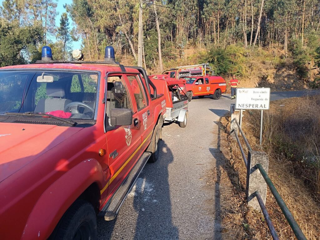 Despiste na Ponte do Robalo provoca cinco feridos na Sertã