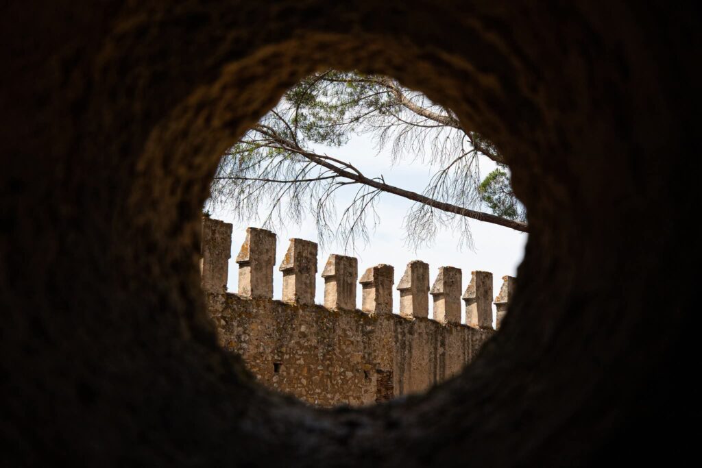 Convento de Cristo em Tomar assinala Dia Internacional da Juventude com entradas gratuitas