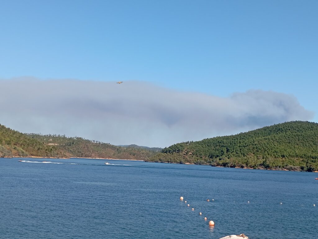 Incêndio em Mouriscas continua ativo e mobiliza quase 400 operacionais