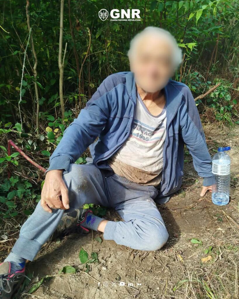 Cão "Arka" localiza idoso desaparecido em zona florestal