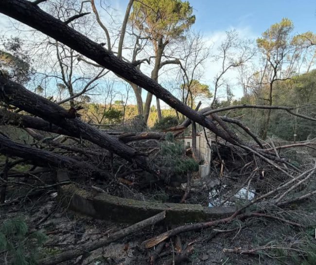 Tomar entre os municípios abrangidos por apoio para recuperação ambiental após a tempestade Kristin