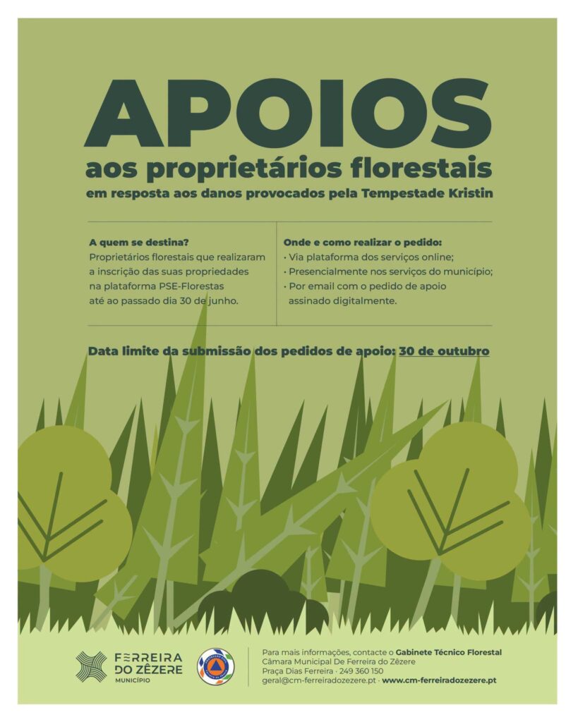 Ferreira do Zêzere abre período para pedidos de apoio aos proprietários florestais afetados pela Kristin