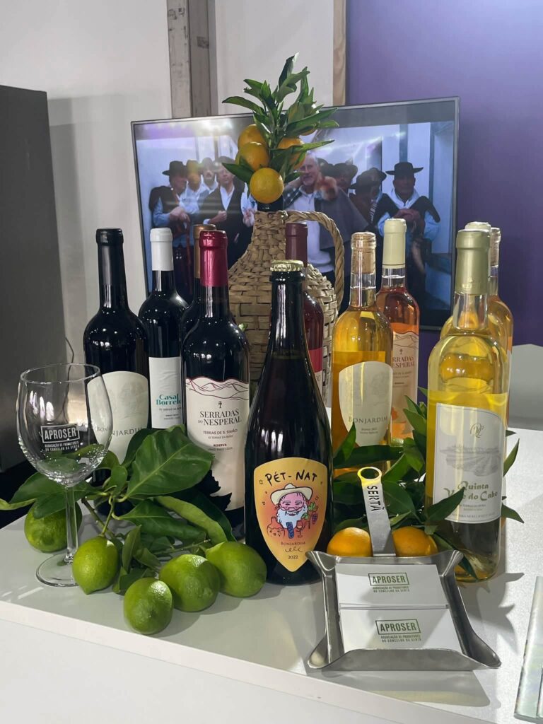 Sertã promove os vinhos do concelho no Festival Nacional de Gastronomia de Santarém