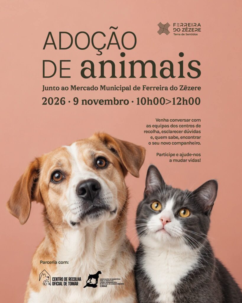 Ferreira do Zêzere promove campanha de adoção de cães e gatos a 9 de novembro