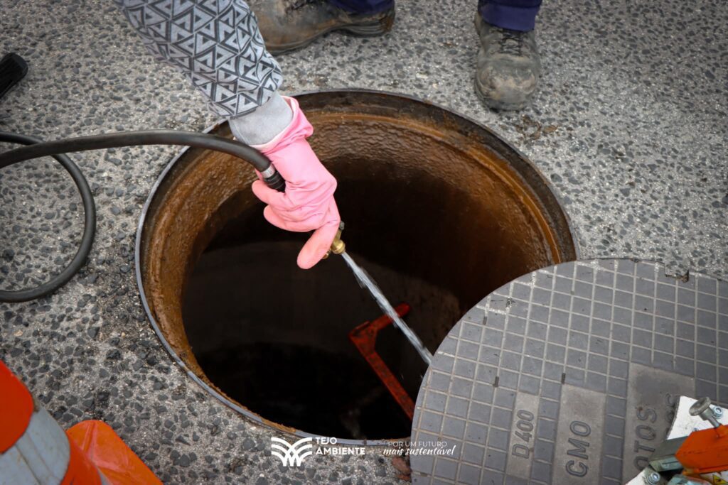 Tejo Ambiente realiza campanha de controlo preventivo de pragas em Ferreira do Zêzere a partir de 30 de novembro