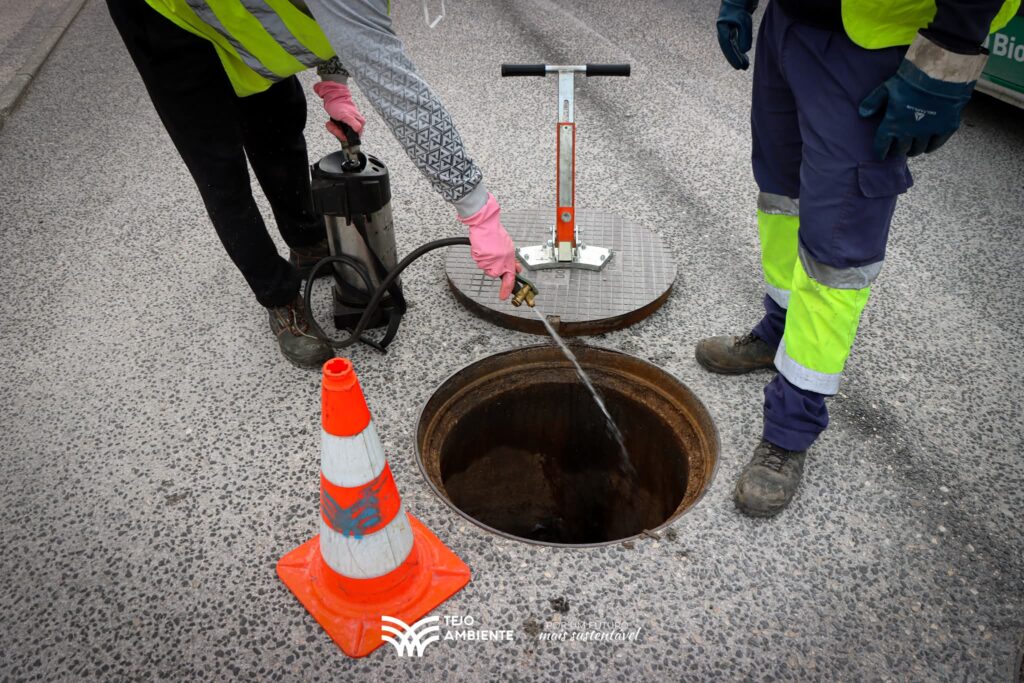 Tejo Ambiente realiza campanha de controlo preventivo de pragas em Ferreira do Zêzere a partir de 30 de novembro