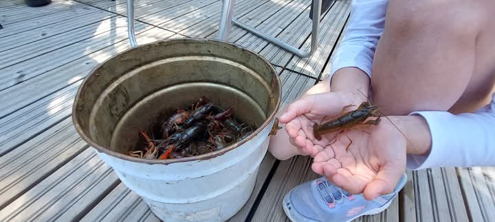 Manhã de Pesca na Península de Dornes