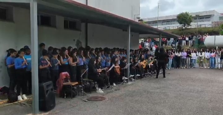 Alunos da Sertã celebraram Dia da Europa com música