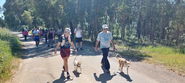 Foi inaugurada a Rota das Fontes em Ferreira do Zêzere (PR7)