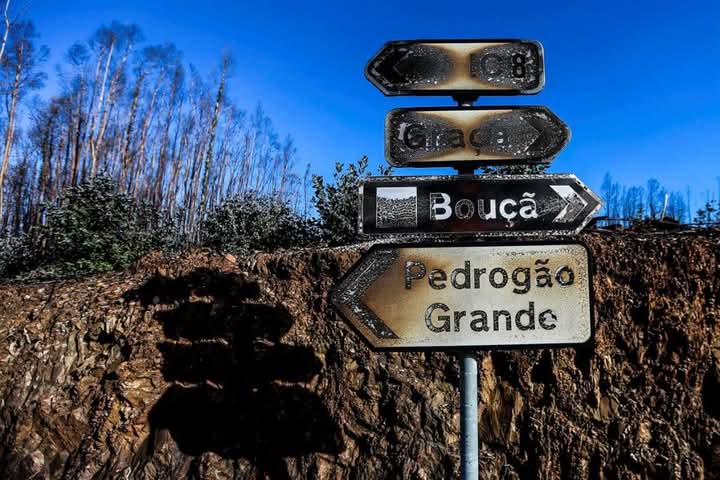Oito anos depois, Pedrógão Grande Recorda Tragédia dos Incêndios com Homenagens e Memória Coletiva
