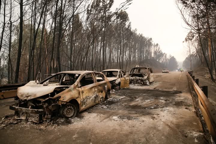 Oito anos depois, Pedrógão Grande Recorda Tragédia dos Incêndios com Homenagens e Memória Coletiva