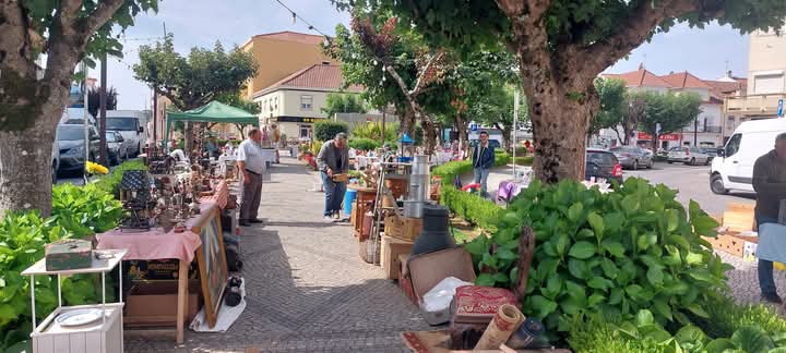 "Verão Ferreira do Zêzere" traz de volta as Marchas Populares esta noite