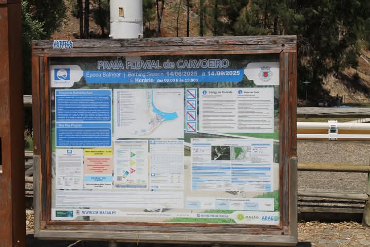 Carvoeiro Hasteia Bandeiras Azul e Praia Acessível pelo 19.º Ano Consecutivo Carvoeiro Hasteia Bandeiras Azul e Praia Acessível pelo 19.º Ano Consecutivo
