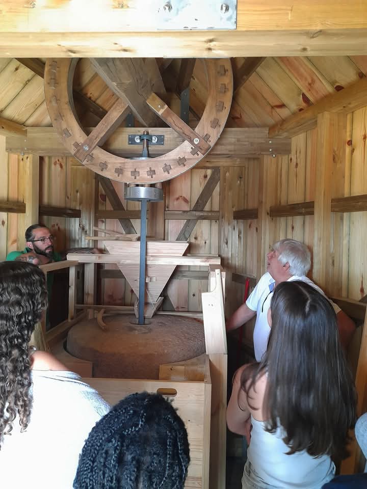 Alunos do 7.º ano descobrem o património de Avecasta em visita promovida pela Fundação Maria Dias Ferreira