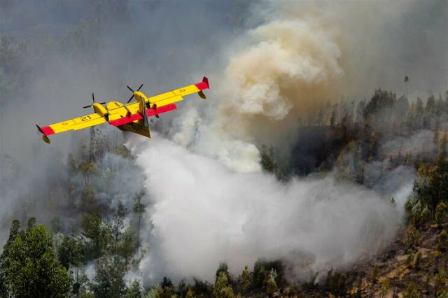 Liga dos Bombeiros Portugueses assegura preparação para dias de calor