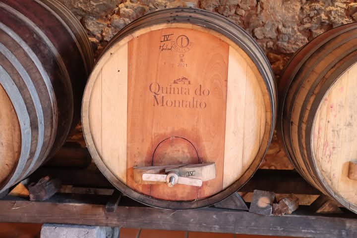 Ourém recebeu o arranque do ciclo “Quintas do Médio Tejo: Visit, Taste and Lounge”
