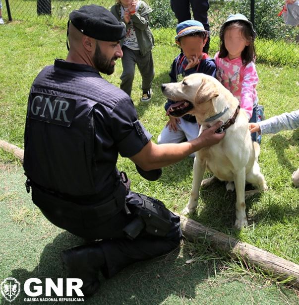 GNR homenageia os seus "militares de quatro patas" neste Dia Mundial do Cão GNR homenageia os seus "militares de quatro patas" neste Dia Mundial do Cão