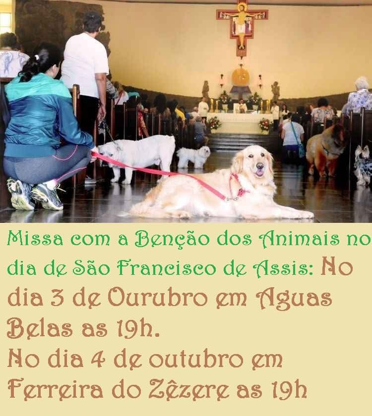 Missa com bênção dos animais em Águas Belas e Ferreira do Zêzere