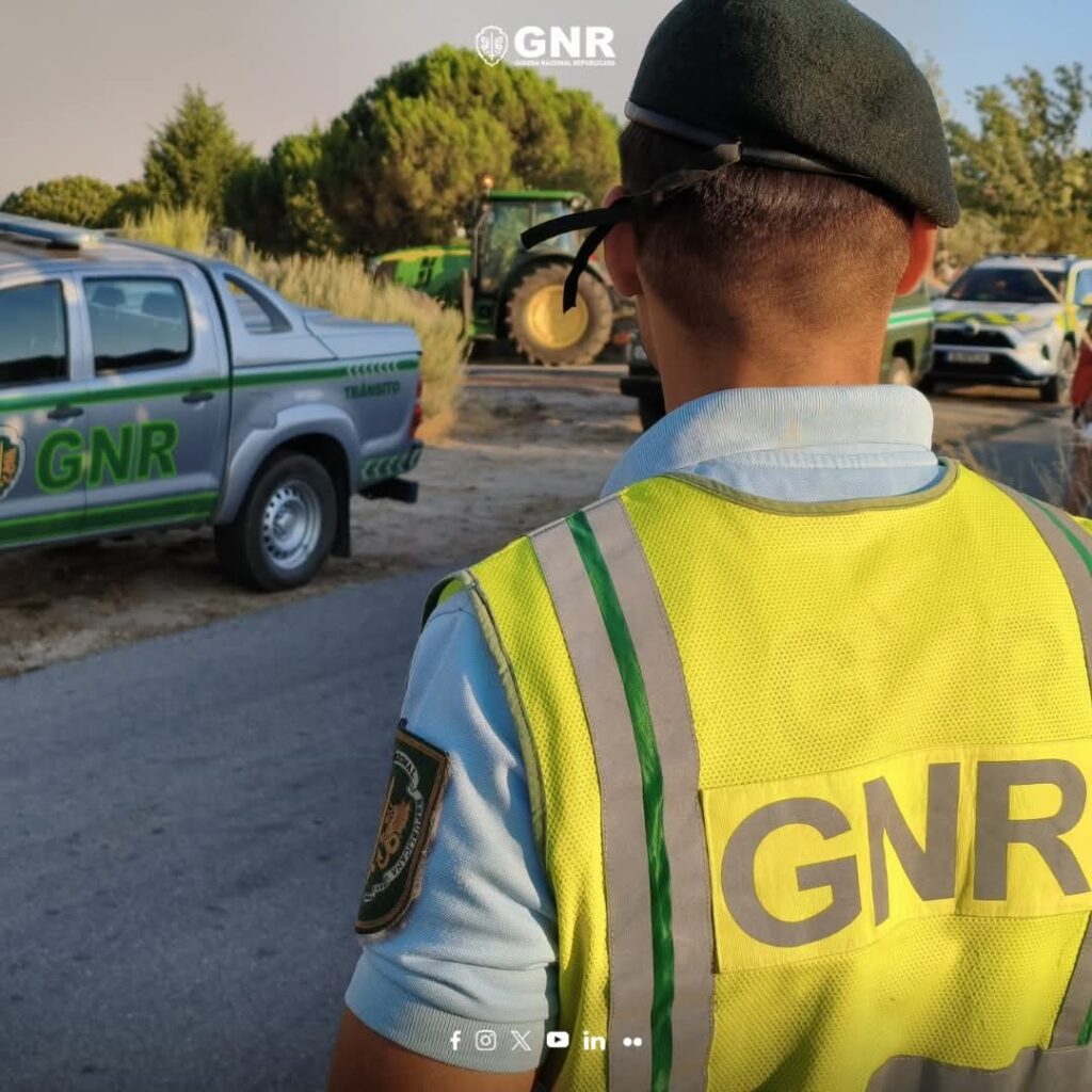GNR apela à prevenção no âmbito da Operação Campo Seguro durante a época da apanha da azeitona