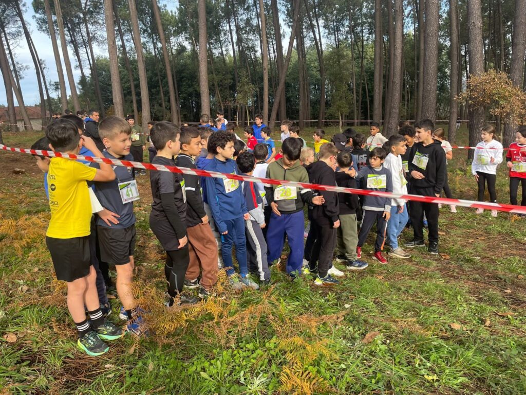 Corta-Mato Escolar 2025 reuniu quase 300 alunos em Ferreira do Zêzere Corta-Mato Escolar 2025 reuniu quase 300 alunos em Ferreira do Zêzere