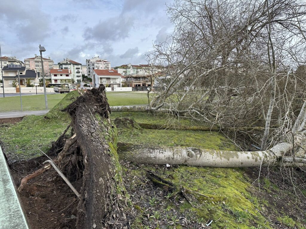 Depressão Kristin: Município de Ourém apela à calma e reforça meios no terreno