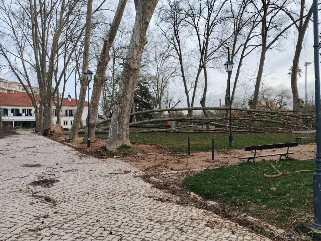 Câmara Municipal de Tomar disponibiliza apoio alimentar na Escola Jácome Ratton