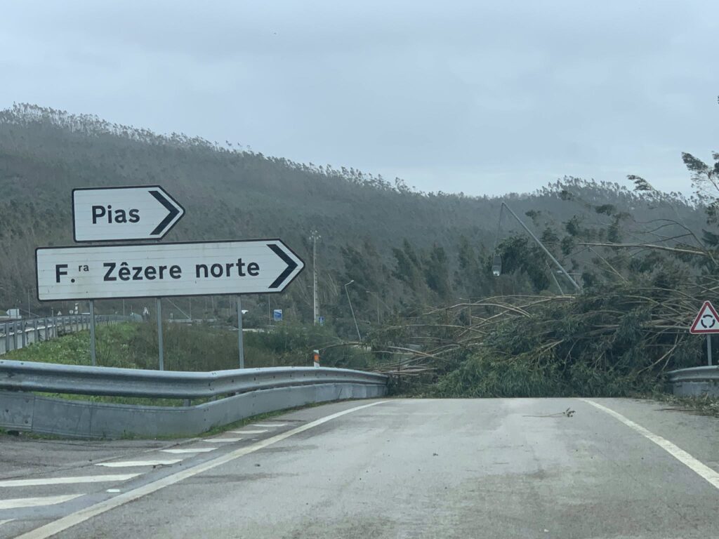 Imagens impressionantes da depressão Kristin em Ferreira do Zêzere