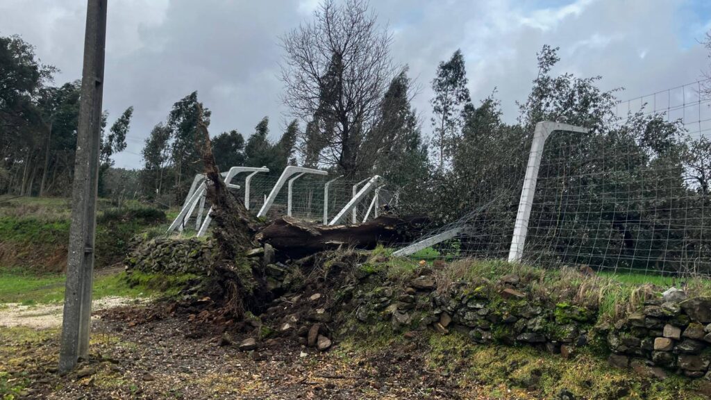 Depressão Kristin deixa rasto de destruição em Figueiró dos Vinhos, mas população está segura