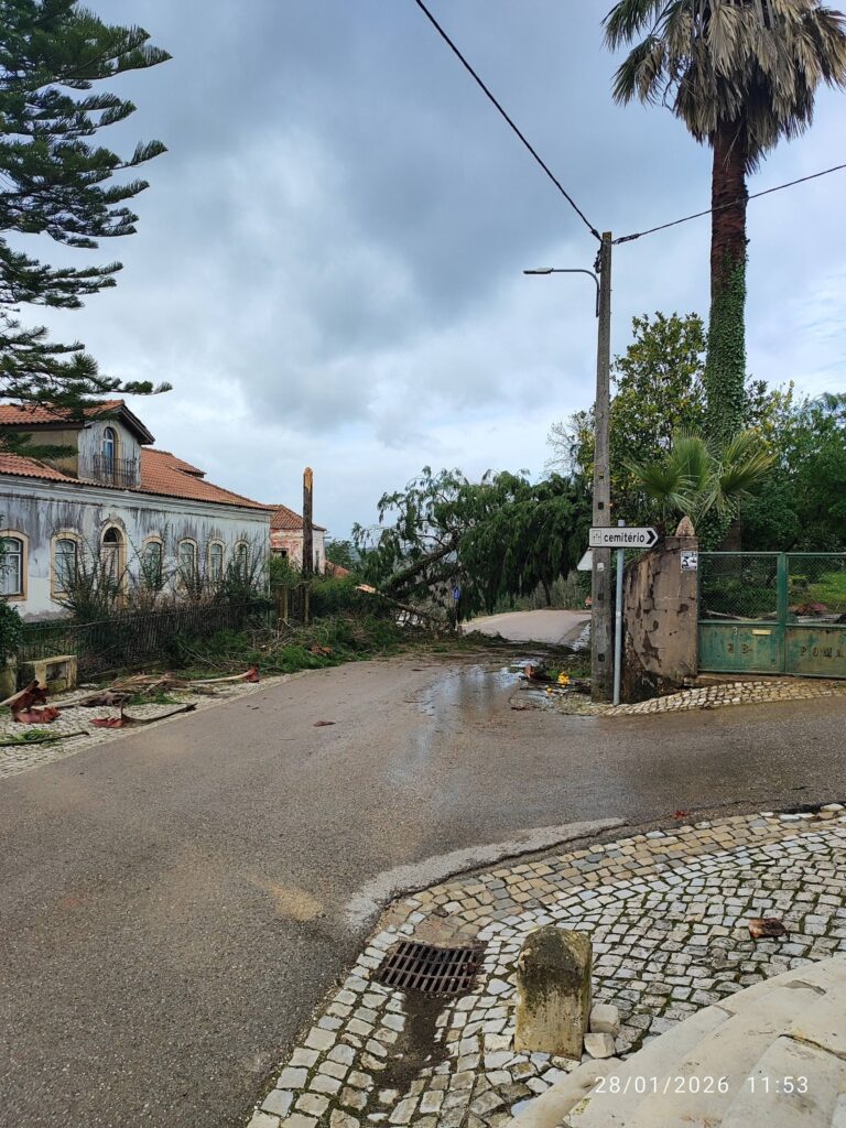 Imagens impressionantes da depressão Kristin em Ferreira do Zêzere