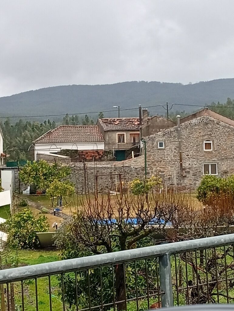 Depressão Kristin deixa rasto de destruição em Figueiró dos Vinhos, mas população está segura