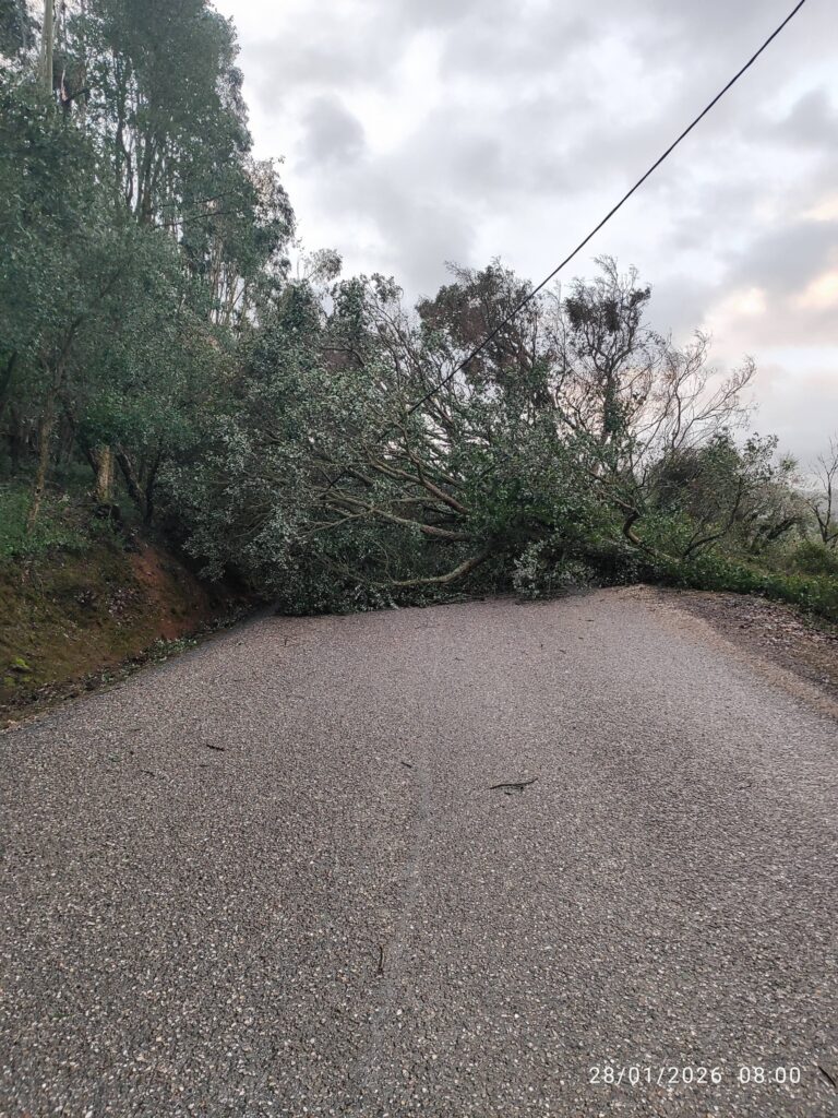 Imagens impressionantes da depressão Kristin em Ferreira do Zêzere