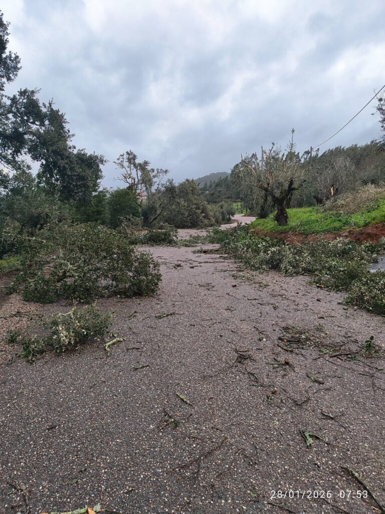 Imagens impressionantes da depressão Kristin em Ferreira do Zêzere